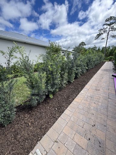 Landscape Renovations
