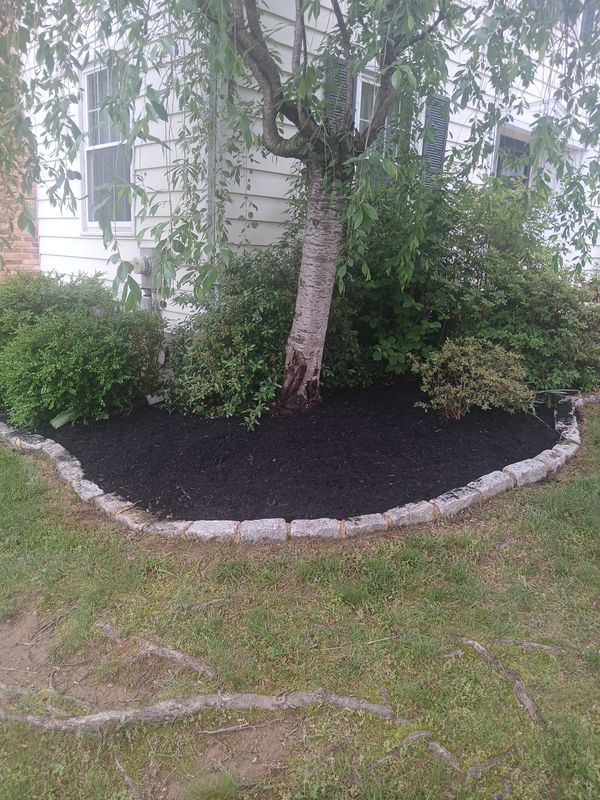 Hardscape & Design