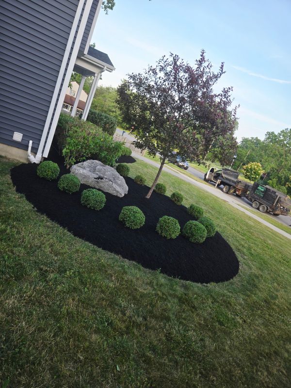 Landscape Installation & Design