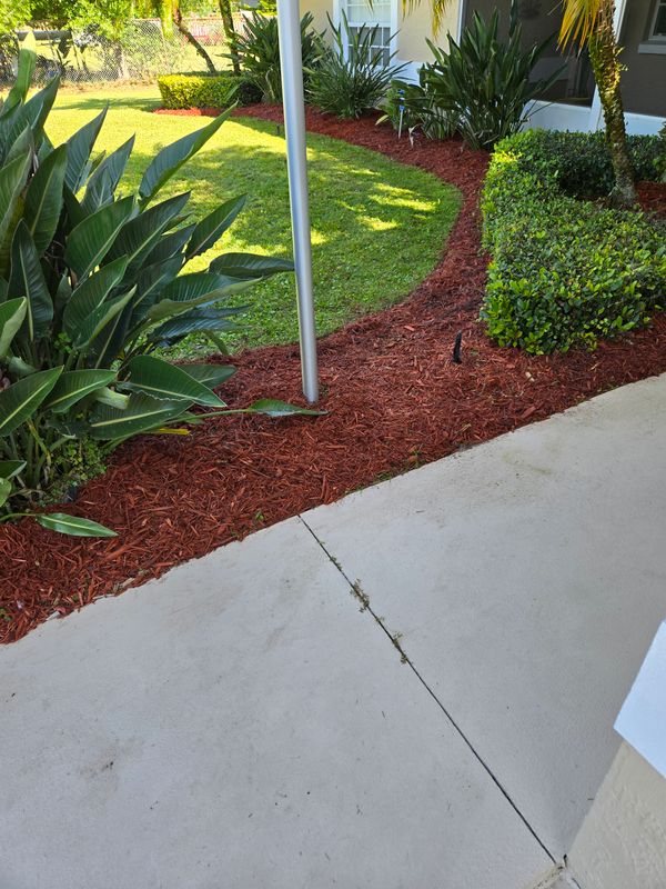 Lawn Care & Maintenance