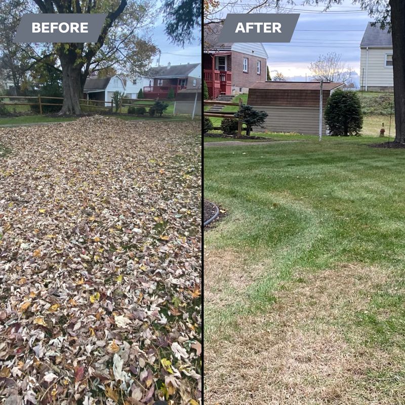 Fall cleanups