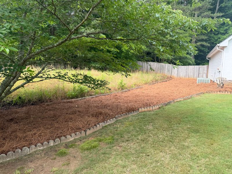 Pine Straw