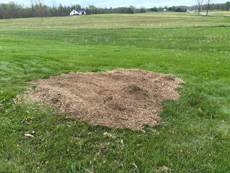 Stump Removal
