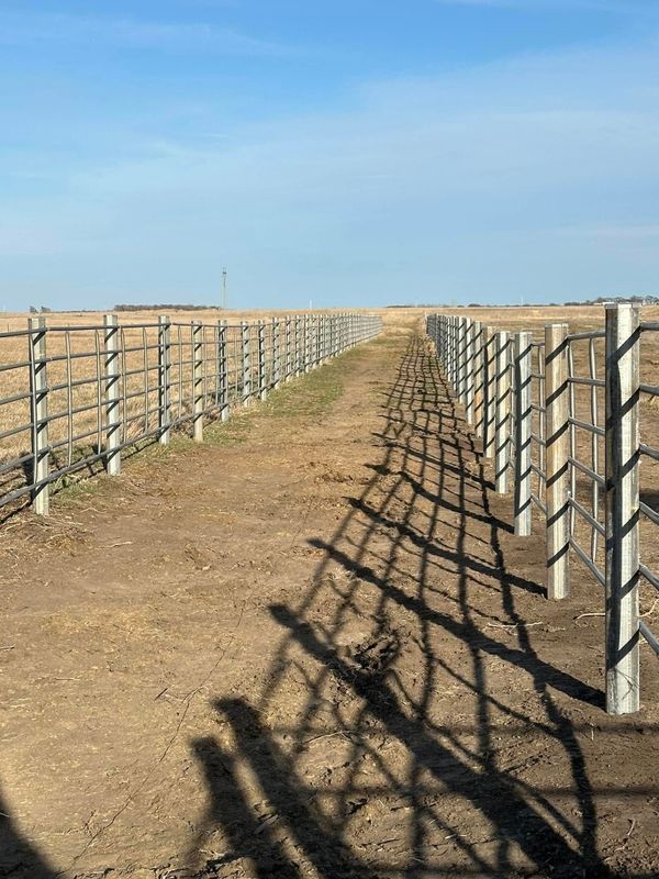 Pipe Fencing