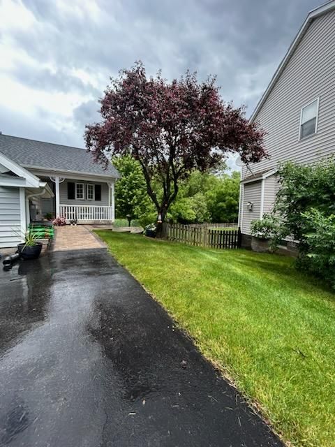 Clearance and Care: Enhancing Tree Health in Spencerport, NY