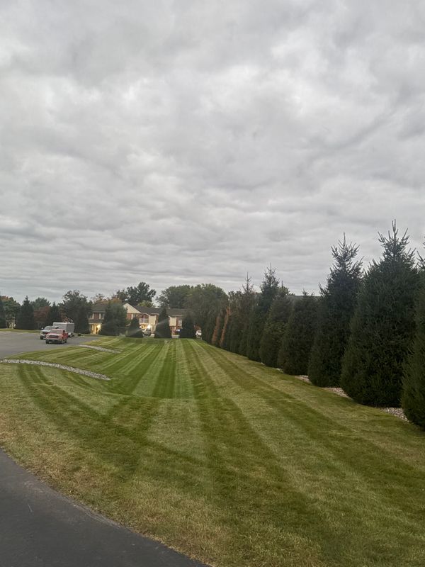 Mowing