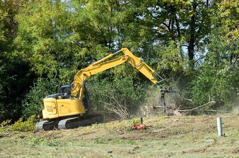 Land Clearing