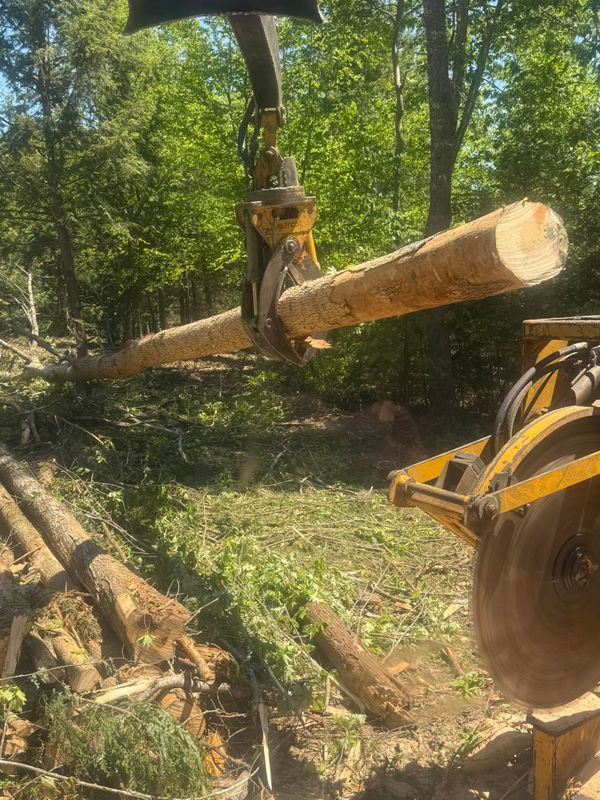 Logging