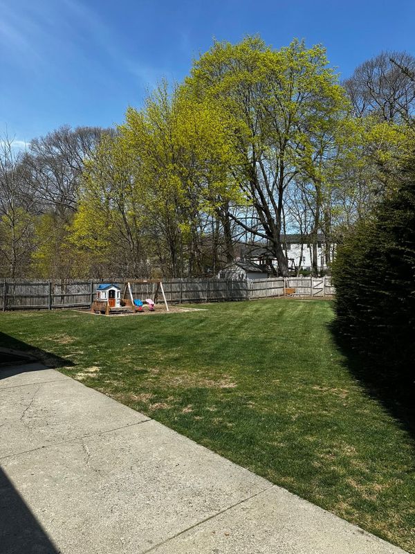Lawn and Yard Renovation