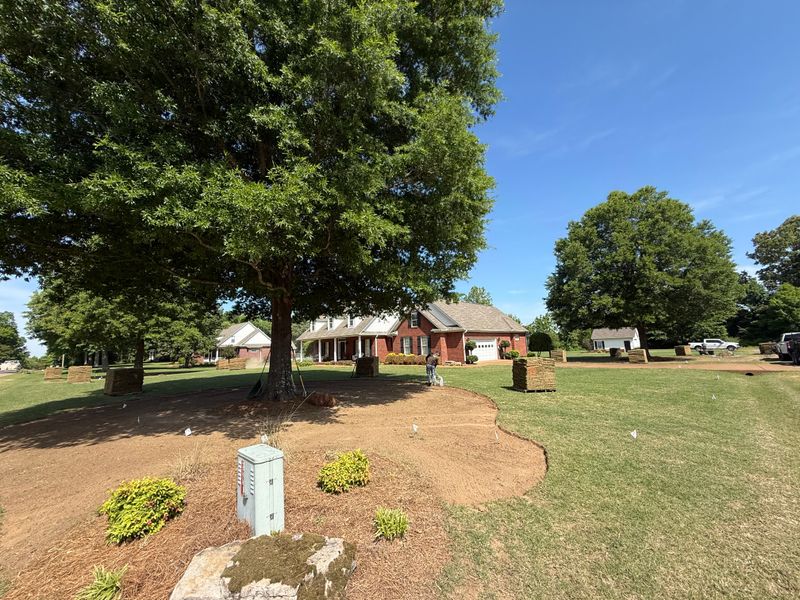 Lawn Maintenance
