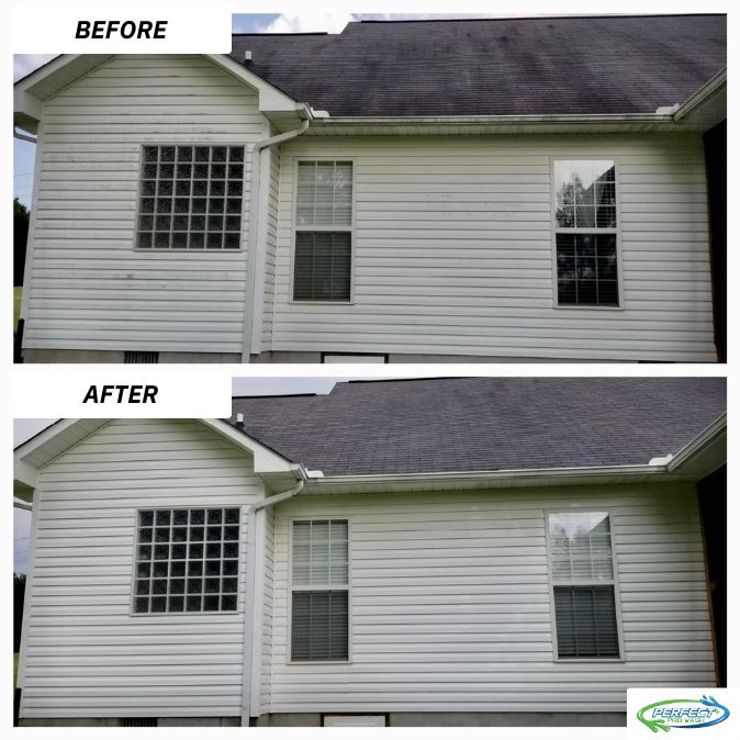 Softwashed Homes