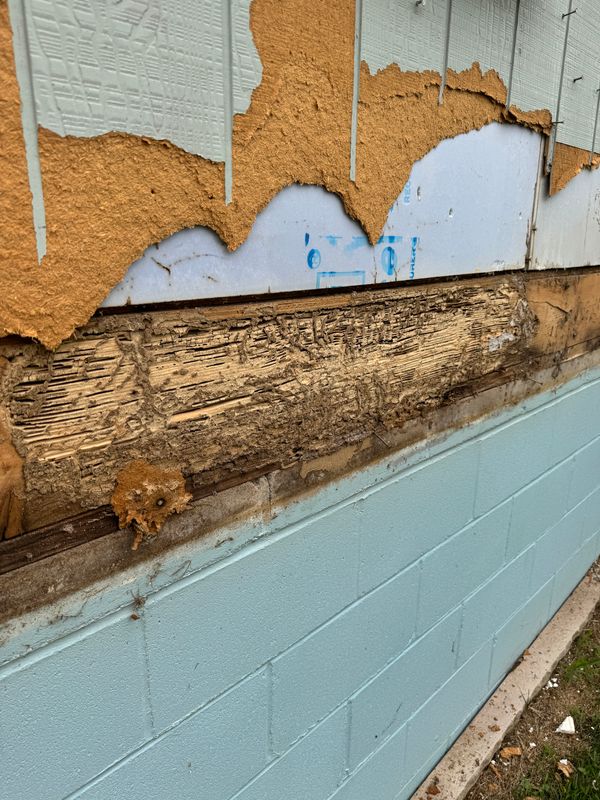 Framing & Structural Repairs