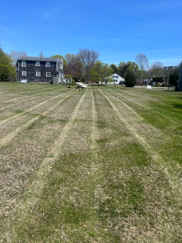 Mowing