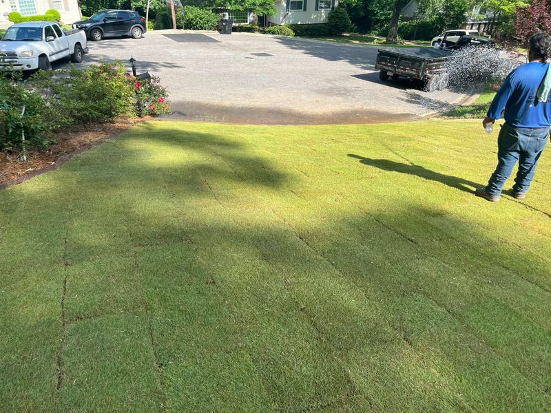 Landscape Design