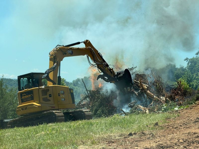 Debris Removal and Cleanup
