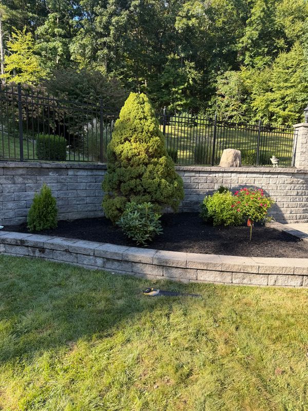 Lawn Care