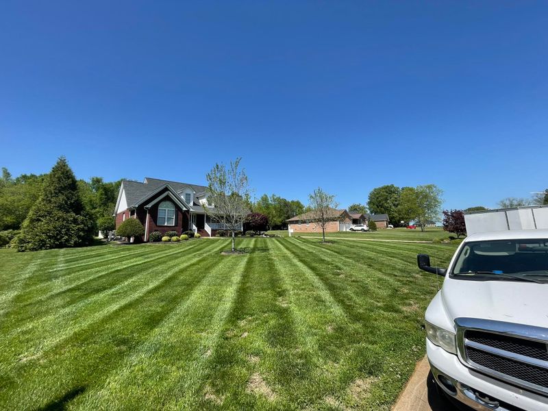 Landscaping