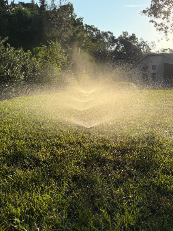 Drip Irrigation Installation and Maintenance