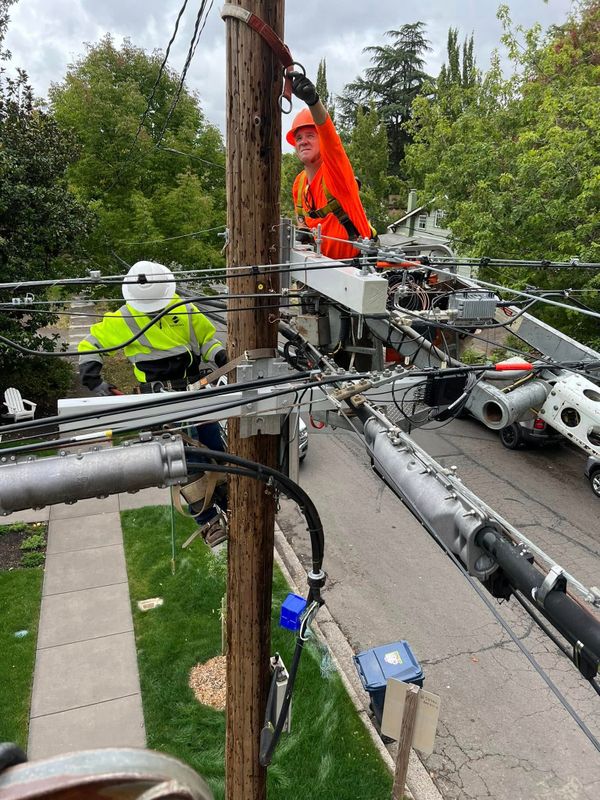 Tree Services