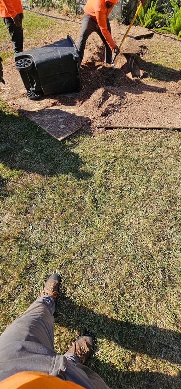 Shrub Trimming