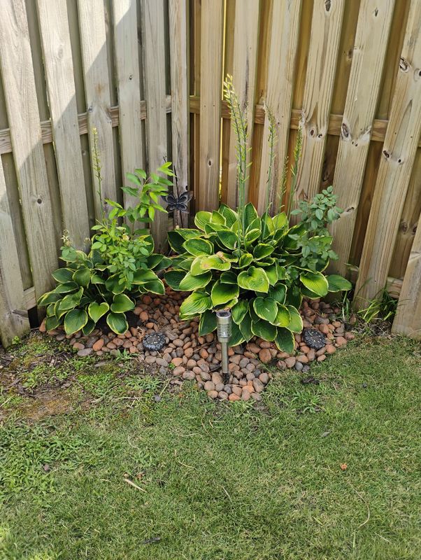 Flowerbed Maintenance
