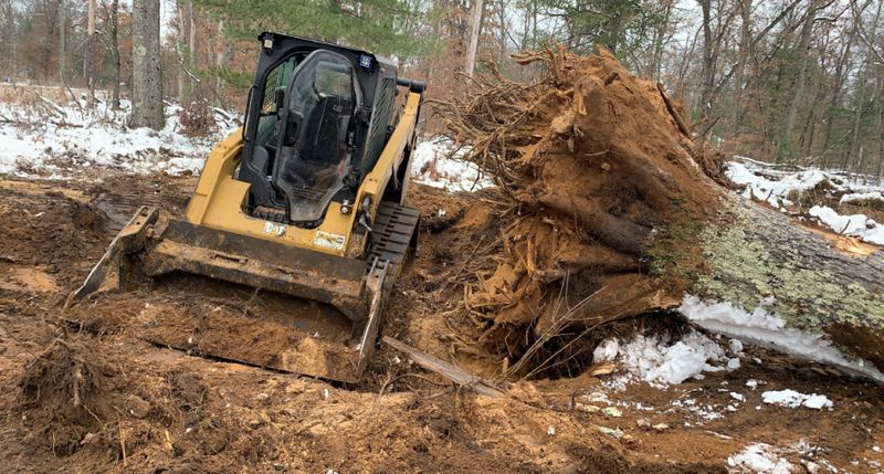 Site preps/land clearing 