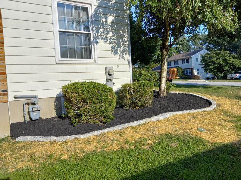 Lawn Care