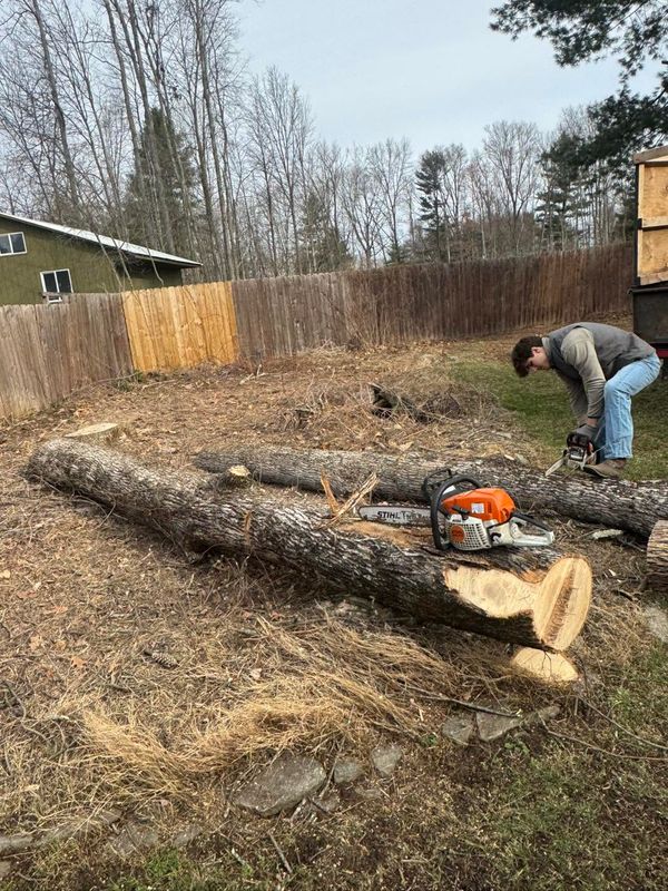 Fall and Spring Clean Up