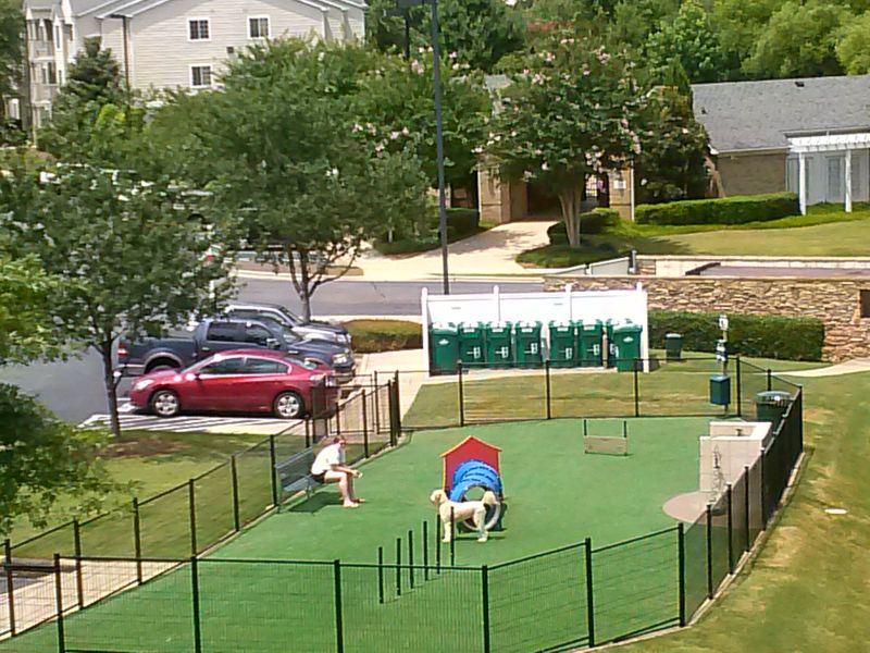 Dog Park Turf Installations