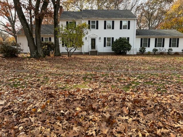 Fall Clean Up