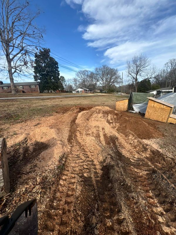 Stump Removal