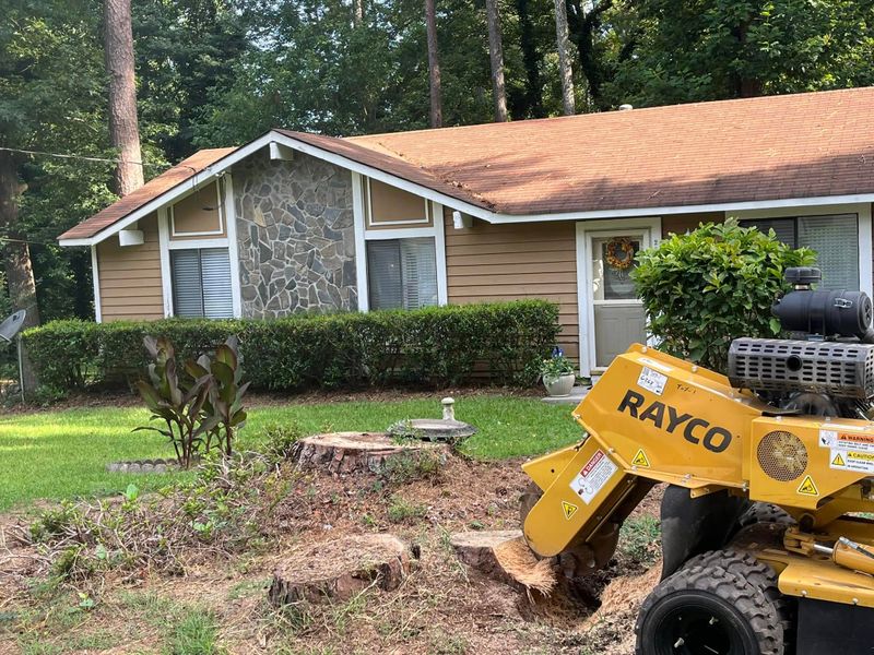Stump Grinding and Removal