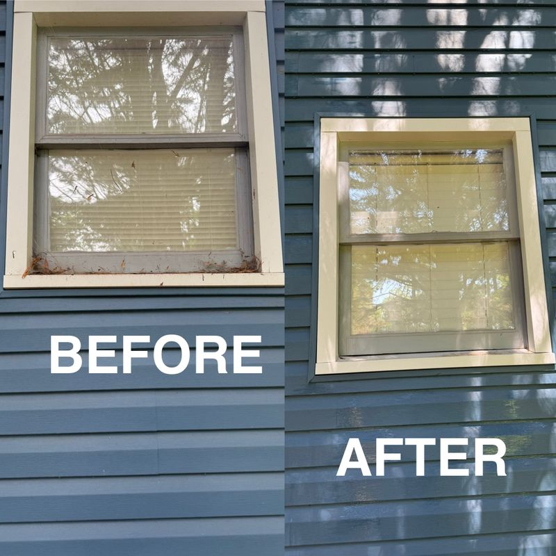 Pressure Washing 