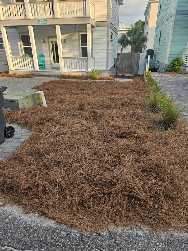 Some of our work