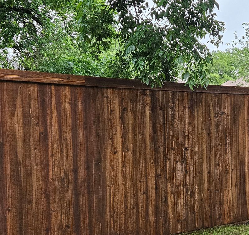 Fence Maintenance