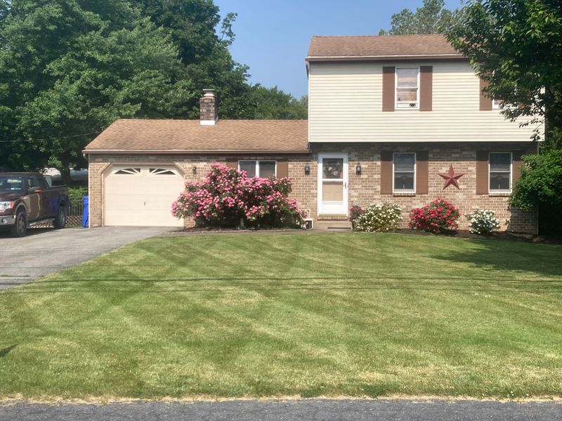 Lawn Maintenance