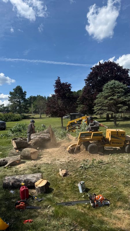 Tree Service