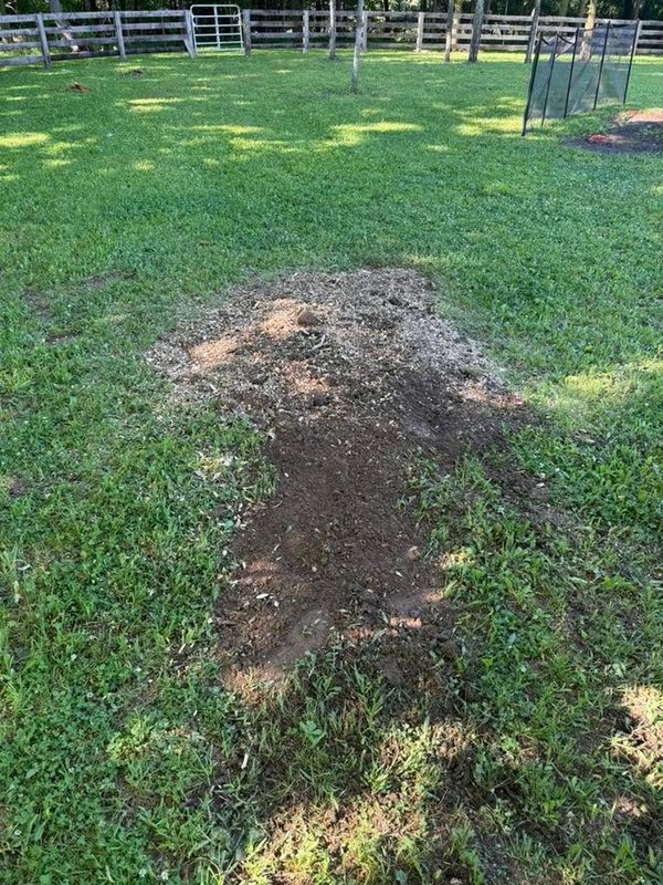 Stump Grinding