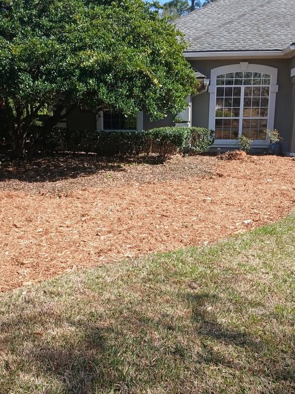 Shrub Trimming