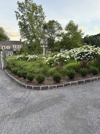 Tree & Perennial Planting