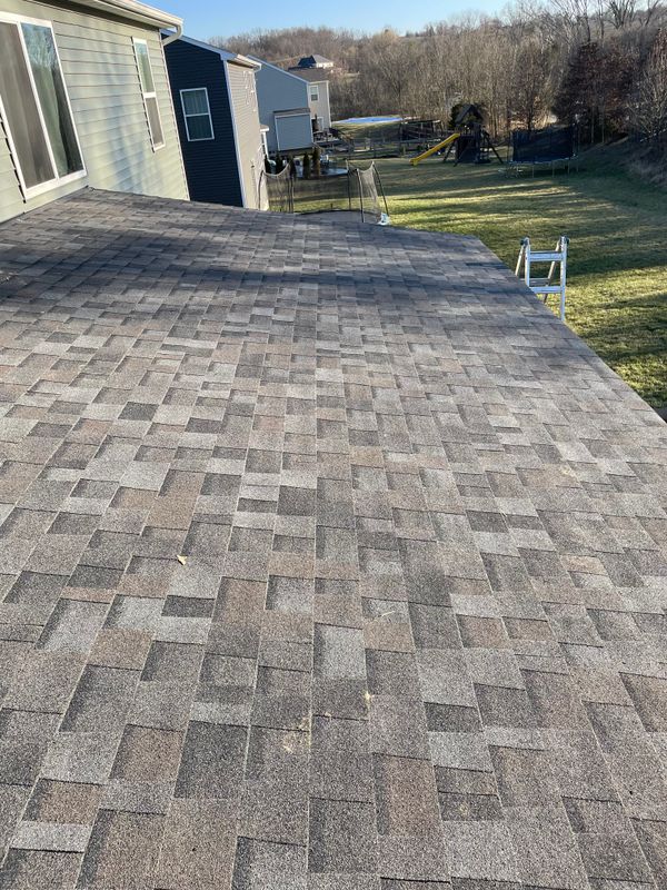 "Harlequin Haven: Transformative Roofing & Exterior Solutions by Precious Roofing in Alexandria, KY"