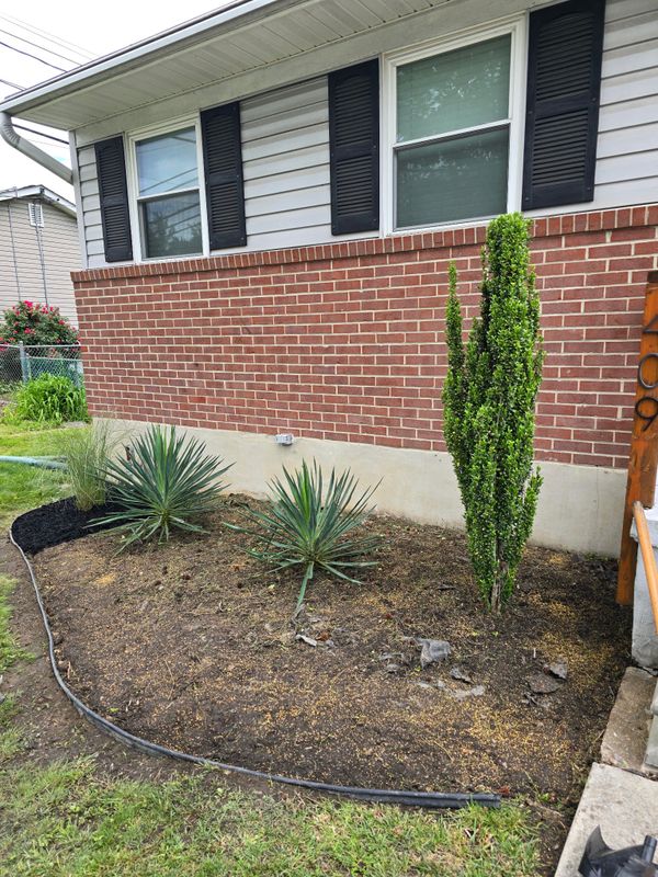 Mulch Installation