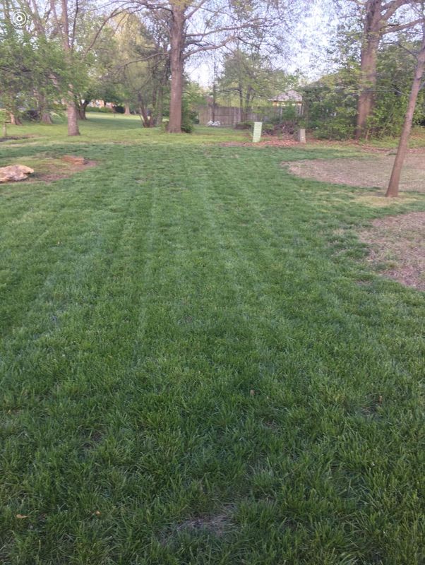 Lawn Care