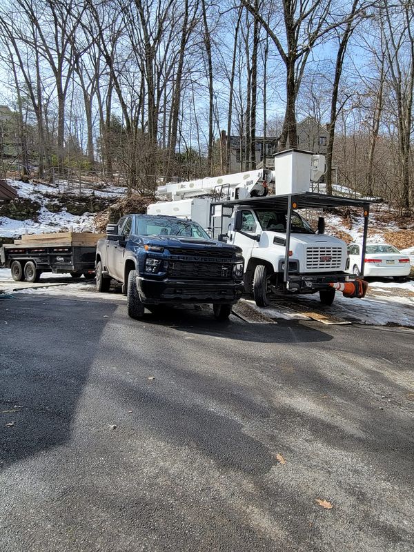 Tree Services