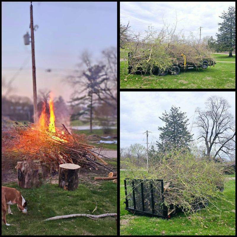 Storm Damage Clean-Up