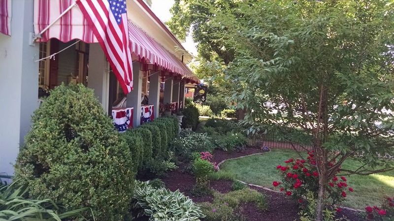 Privacy Plantings