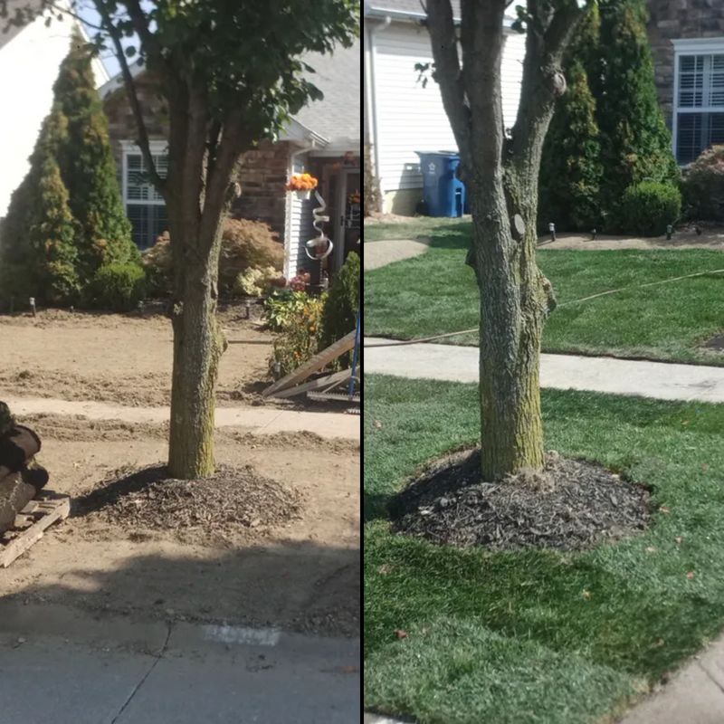 Full Service Property Maintenance