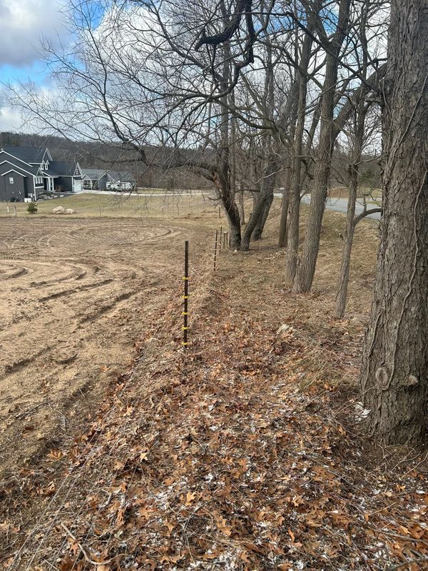 Brush Removal/Hogging