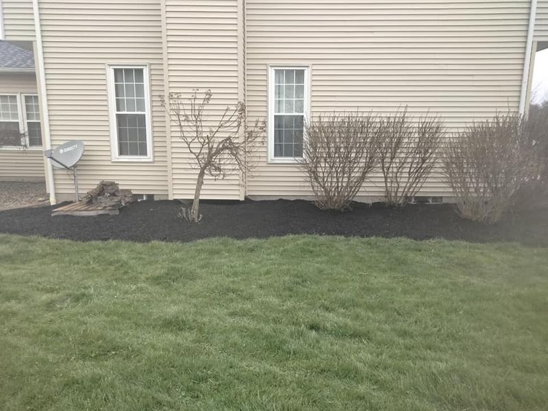 Mulch Installation