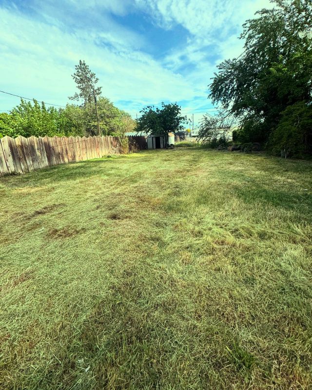 Weed Control